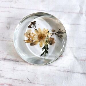 Vintage Lucite Paperweight Round Dried Flower‎ Floral Display Decor